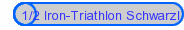 1/2 Iron-Triathlon Schwarzl 22.05.2004