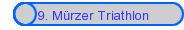9. Mrzer Triathlon